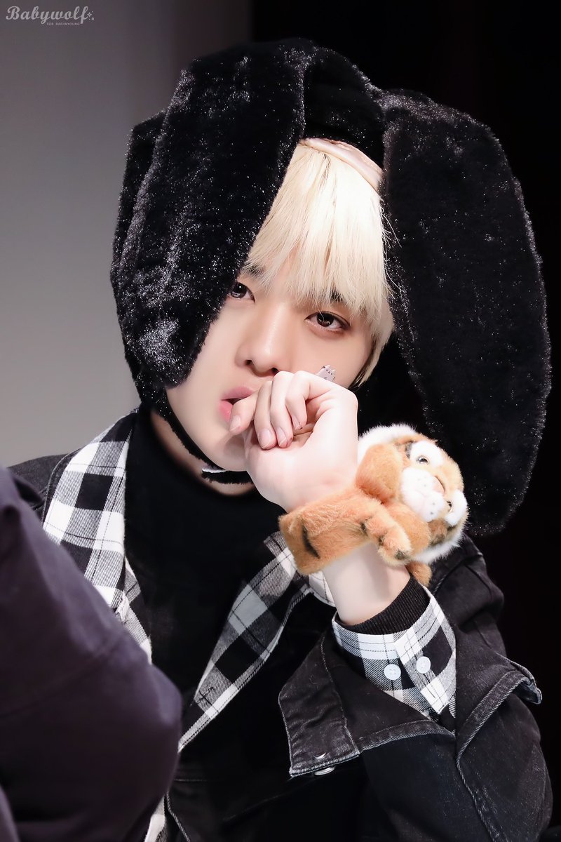 babywolf_0510's tweet photo. 🐺181125 상암 팬사인회 
#배진영 #진영 #워너원 
섹시큐티ㅠㅠㅠ 완벽해 배진영ㅜㅜㅜㅜ😇🖤🖤🖤 https://t.co/njOcS9UtAv
