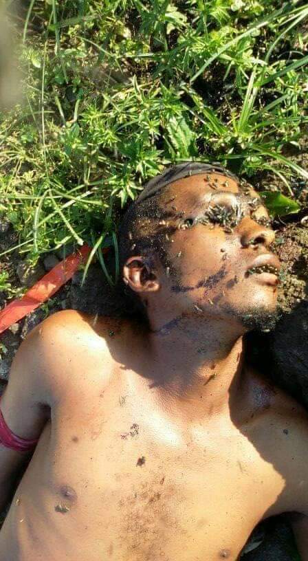 ayah4justice tweet picture