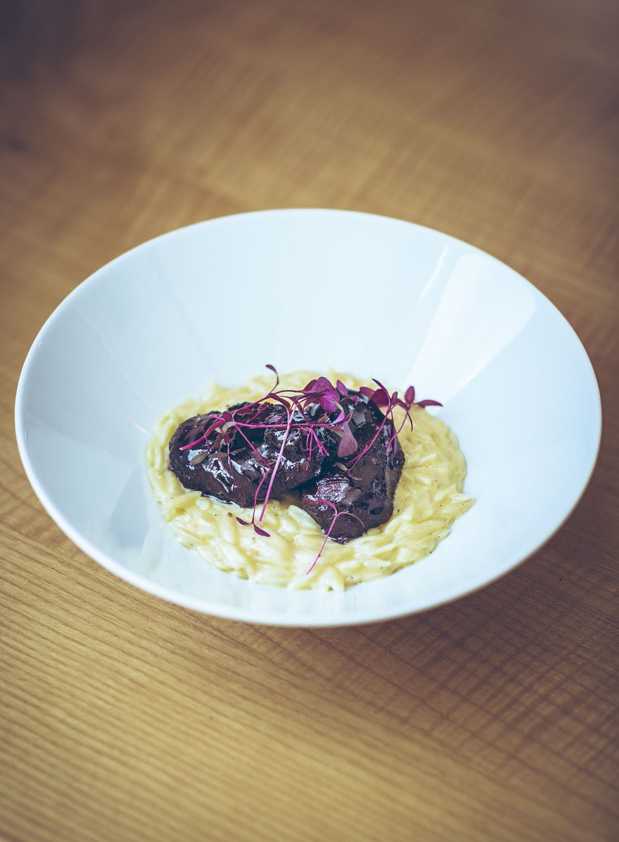 Matt Healy x The Foundry tweet media