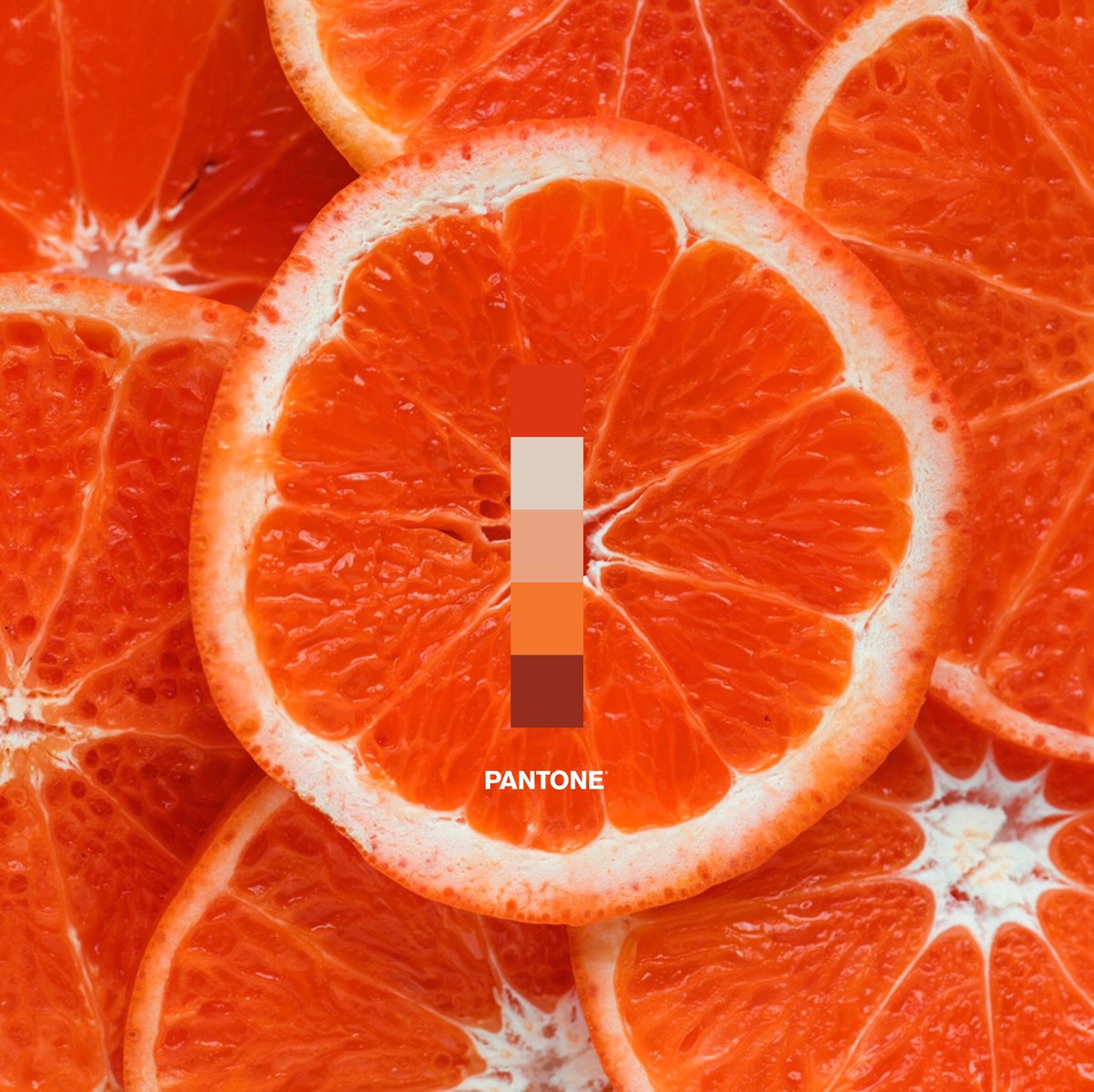everydaypantone's tweet photo. The Everyday Pantone :: Grapefruit
#pantone #pantoneposts #designinspiration #colour https://t.co/kQSjgSE5sJ