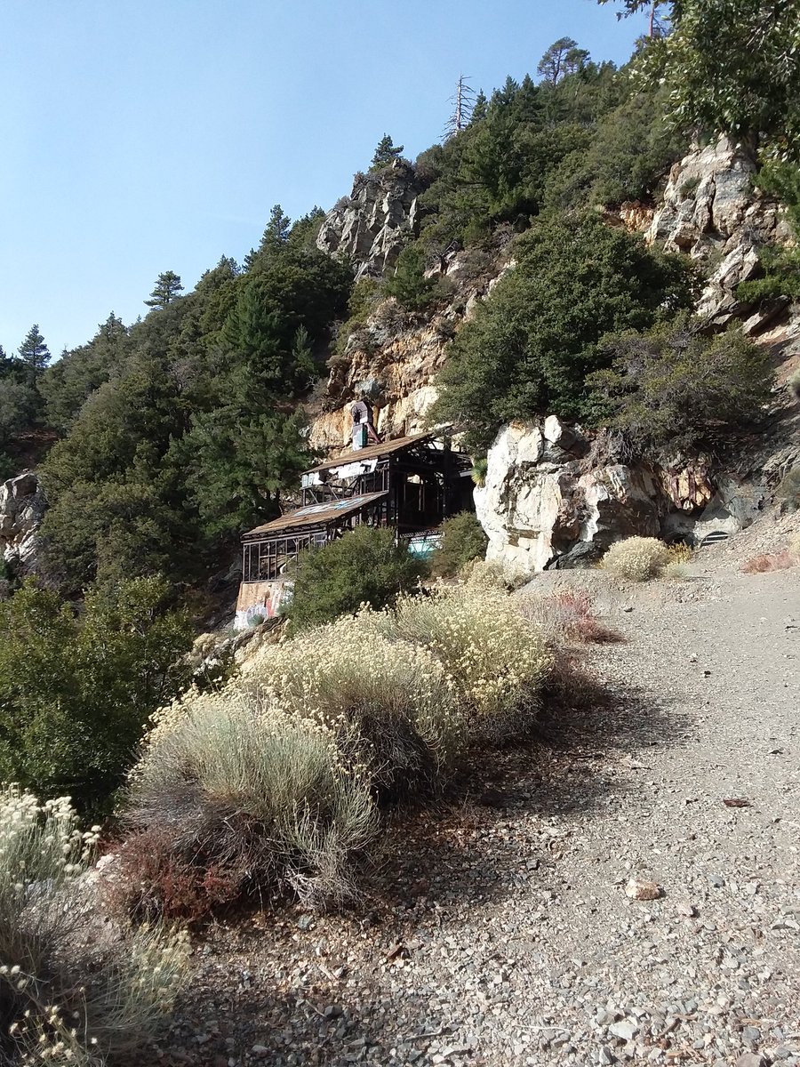 Went #hiking 3 days in a row. Last hike was to Big Horn Mine in 📍Valyermo, CA. We got to see the snow on one of the mountains and beautiful views.🌲🌲

#rei #OptOutside #hikingadventures #losangelesnationalforrest #amongthewild #mountiancommunity #themoderndayexplorer #labrador