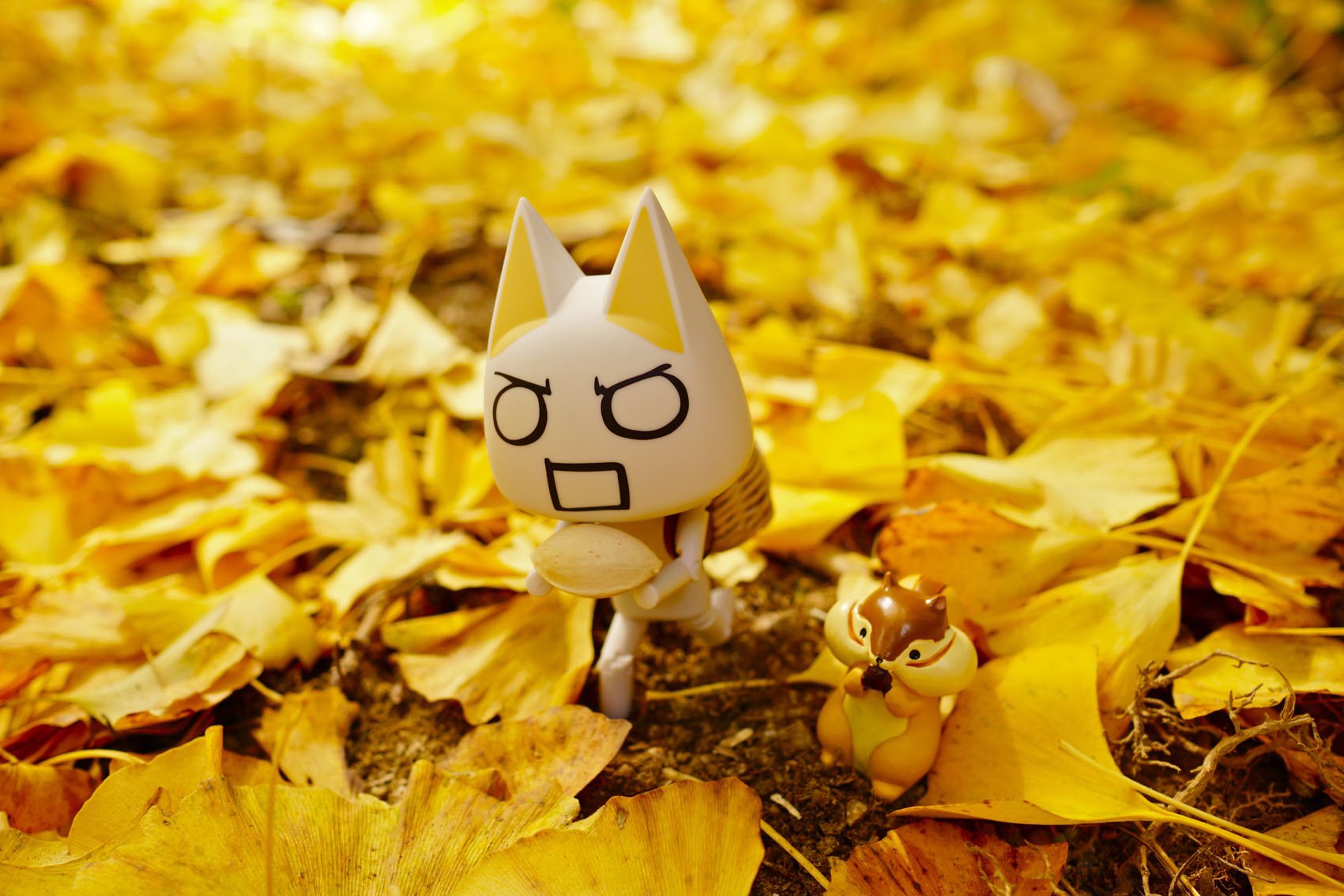 じゅんじゅん Ar Twitter ニ ャ 臭いけどたくさん拾ったニャ どこでもいっしょ トロ 井上トロ Sonycat ぬい撮り イチョウ 銀杏 Sony A6000 トロ好きさんとつながりたい 光画部 ニャ リスさんも銀杏いるニャ