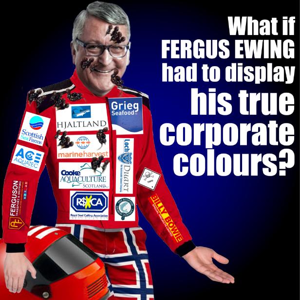 TheGAAIA's tweet photo. Will Scotland's Minister for the Promotion of Lice-Infested Norwegian Salmon Farming in Scotland (aka @FergusEwingMSP) bother reading tomorrow's @SP_RECcttee report on salmon farming or will he just proceed with his plans to treble production by 2030? https://t.co/Cc3Axk0Y9g https://t.co/fRToPVnuJ6