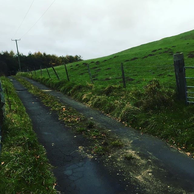 YogaHereford's tweet image. If your path is an examined one, and especially if you practice within an organised hierarchical system, this is a very interesting read. Thanks @carrieowerko for your thoughtful and considered contribution ift.tt/2FItLDL #iyengaryoga #workasplay #guru #spiritualpath #…