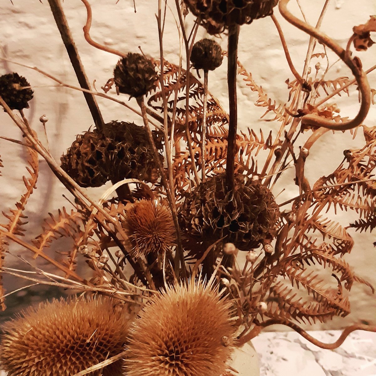 Janesgardens1's tweet image. Indication of my forthcoming talk #formandstructure #gardens #wintergardens #gardendesign #somersetgardens #nerveskickingin