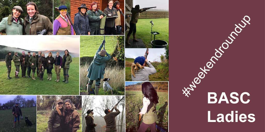 BascWomen's tweet photo. Good weekend! #weekendroundup #BASCladies https://t.co/0lffKhdkN1