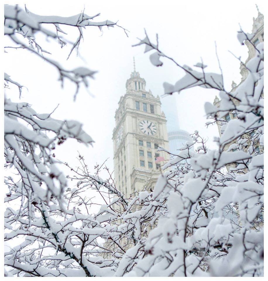 Snowy Day in Chicago ❄️ #chicago #mykindoftown #chitown #staywarm #snowday #bearded #beards #besrdsforwarmth