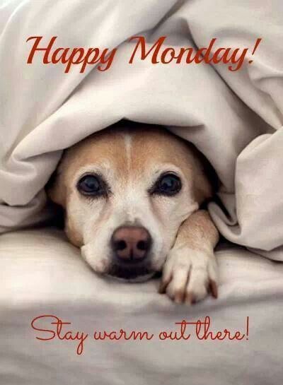 McLaughlin_GM's tweet photo. It's a cold one out there this morning! Wishing you a warm day ahead! #MondayMorningWishes #TimeToBundleUp https://t.co/qaYZV1cqRd
