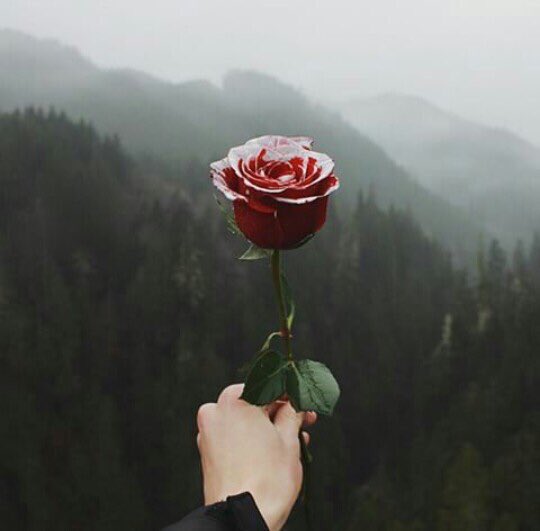 pictures's tweet photo. https://t.co/jWp1CLOaqK