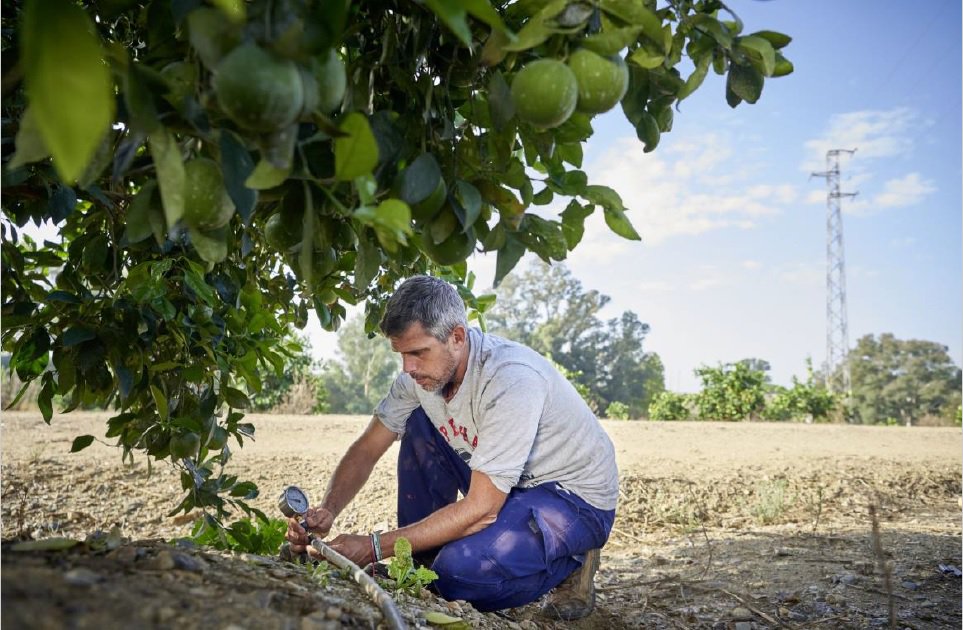 Act_4_Water's tweet photo. El Estándar de Alliance for Water Stewardship ya tiene su primera certificación en una finca europea https://t.co/ebPU5EOBnz #WaterStewardship #AWSStandard #CustodiaDelAgua #HuellaHídrica https://t.co/cTpmvAcsS0