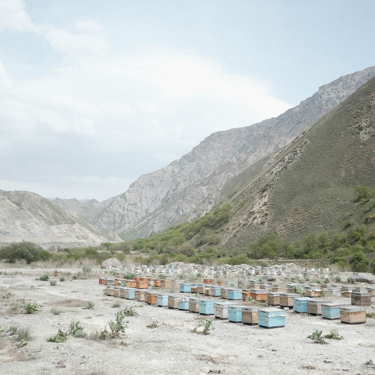 UAL's tweet photo. Murdoch MacLeod is one of @lcclondon MA Photojournalism &amp; Documentary Photography students praised on the @guardian for enquiring societal issues. 'Dispositif' looks at the socio-political landscape resulting from the Turkish/Kurdish conflict: https://t.co/vsJElKLtXq https://t.co/88DafyhnGA