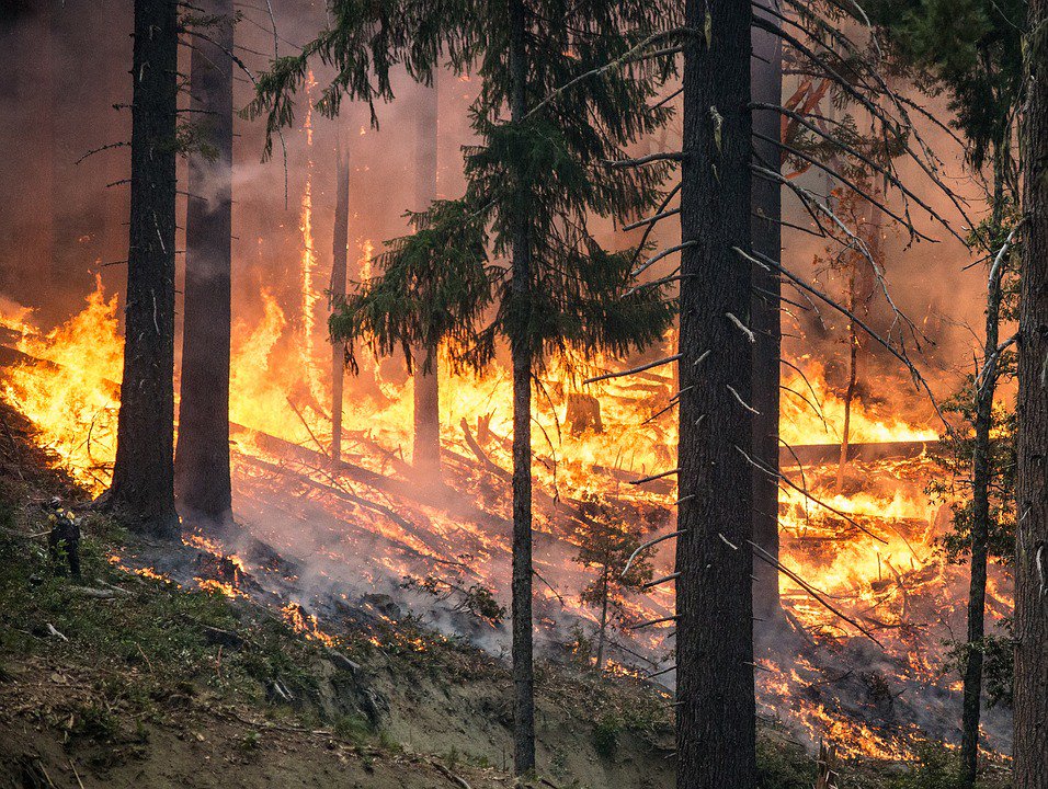 Mayors4Climate's tweet photo. How is #ClimateChange affecting the US?
 
The new Climate Science Special Report by @usgcrp found: the impacts of climate change could cost the US almost $275 billion &amp; have dire impacts on citizens' health.
 
Read more in this article by @BBCJamesCook: https://t.co/3VBmJd3sJK https://t.co/yJ9XVrh4mn