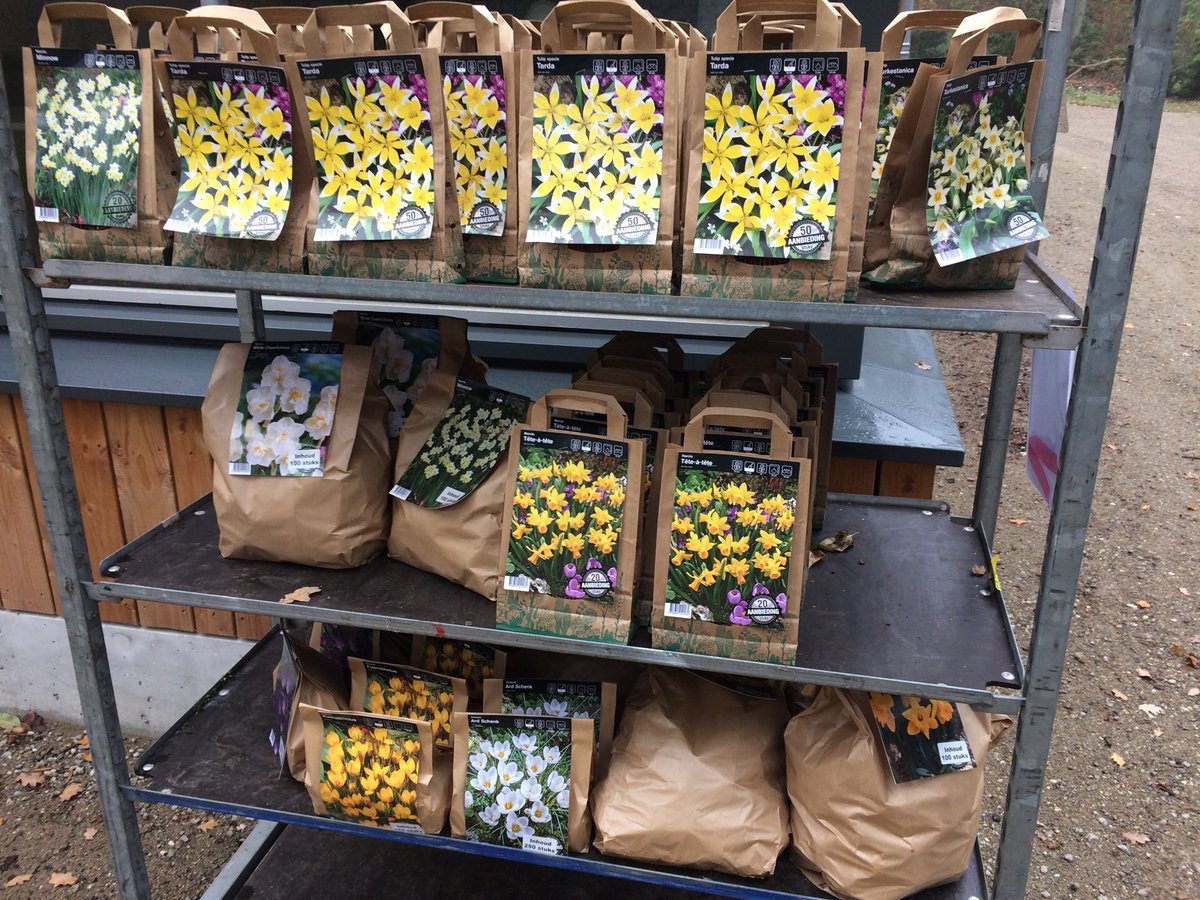 Vandaag er tegen aan gegaan. 4500 bolletjes de grond in bij de binnentuin. Gaat een nieuwe beleving dimensie worden in het vroege voorjaar. 10 verschillende soorten.