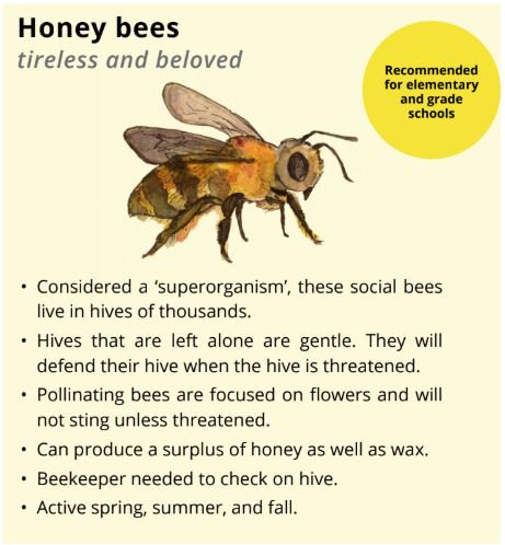 bee_conservancy's tweet photo. Bring buzz to your school with gentle bees! Download the free Guide to Hosting a Beehive by @thehoneybeeconservancy and @BeesintheD https://t.co/ImsgsFAfzL #savethebees #honeybees #education #enviroedu https://t.co/QNVAoyQWE9