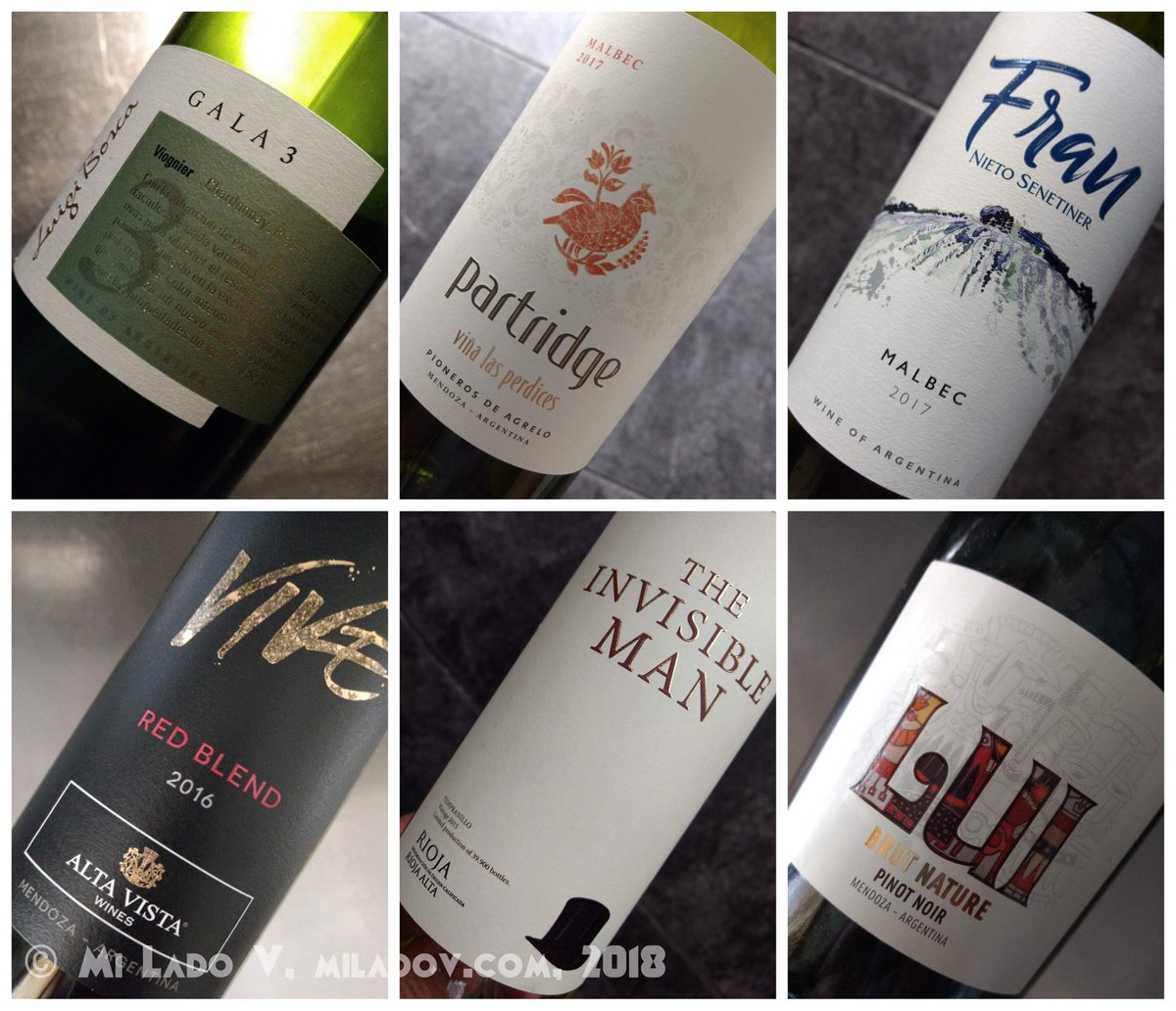 Diego Migliaro tweet media