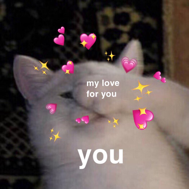 Art Book Take My Heart Meme Edits Wattpad