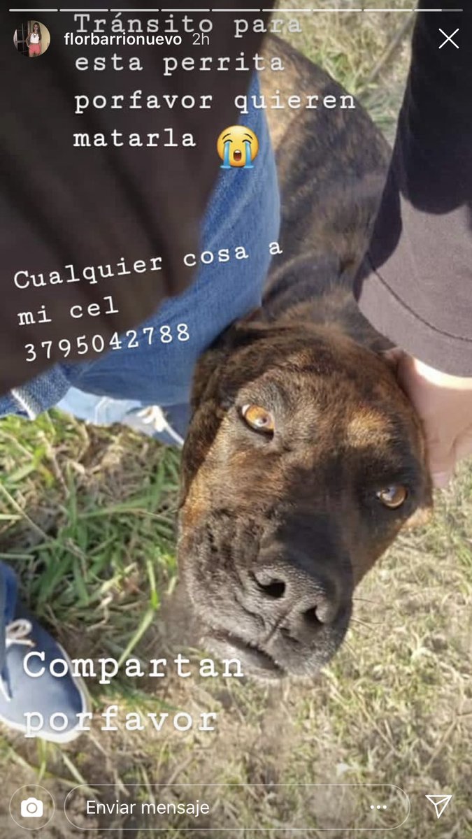Anitavex's tweet photo. 🙏 compartan por favor https://t.co/MgEAvzXgtd