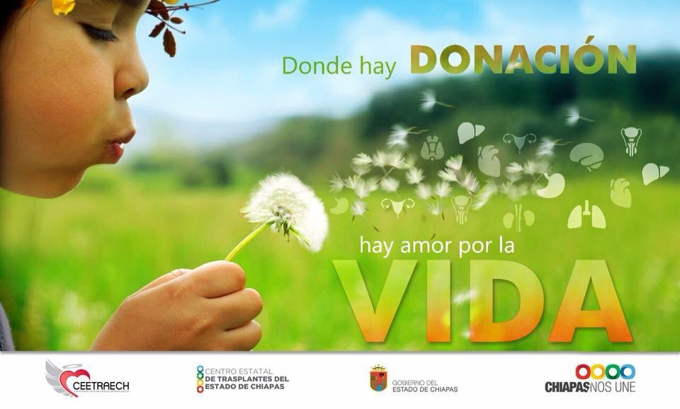 ceetraech's tweet photo. Hoy es un gran día para decirle sí a la vida, súmate a la cultura de la #donacióndeórganos ingresa a https://t.co/odhxwcUwpl regístrate como donador voluntario y #ÉchaleUnaManoALaVida. https://t.co/kPOGpHSB4i