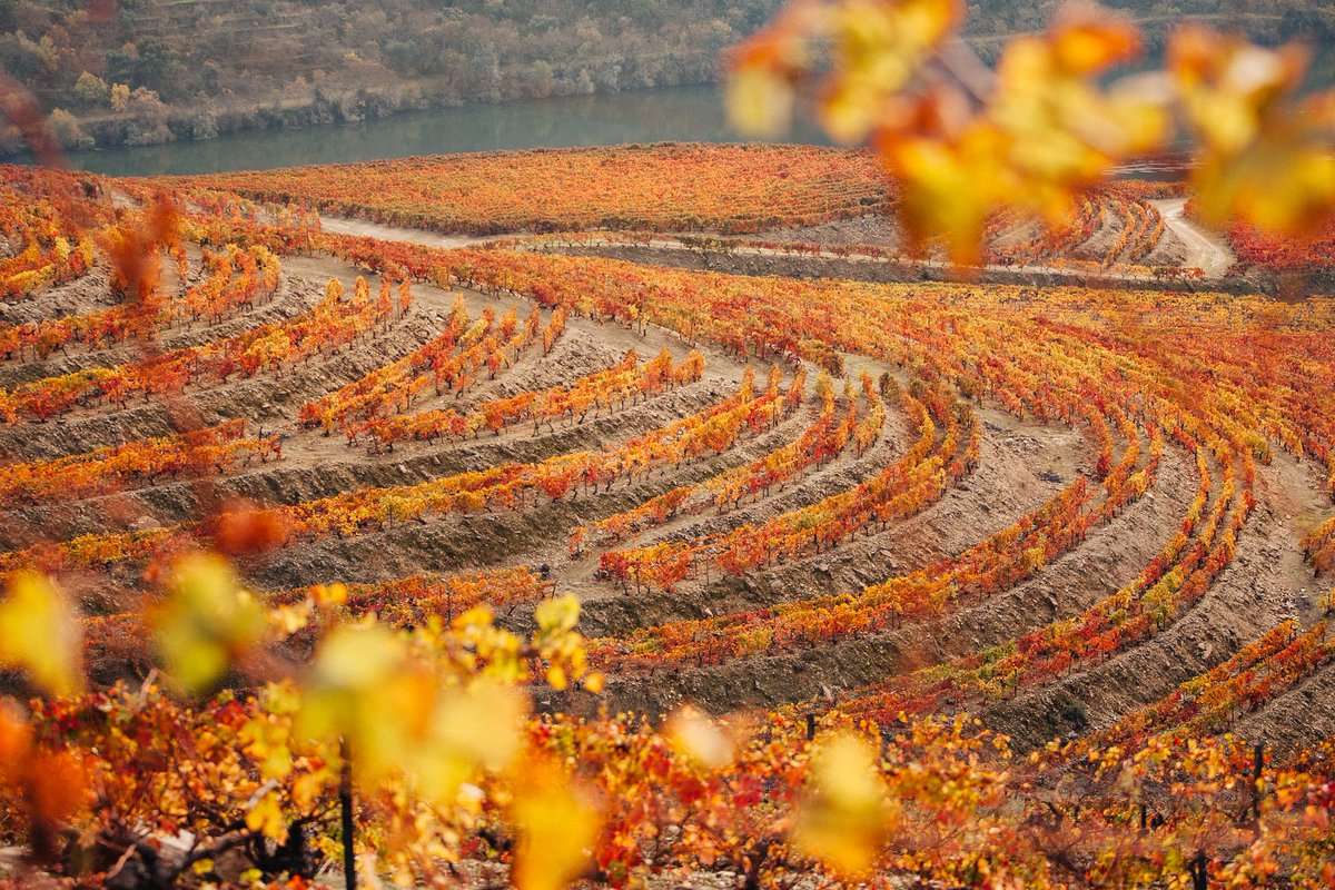 Douro Valley Autumn Travel