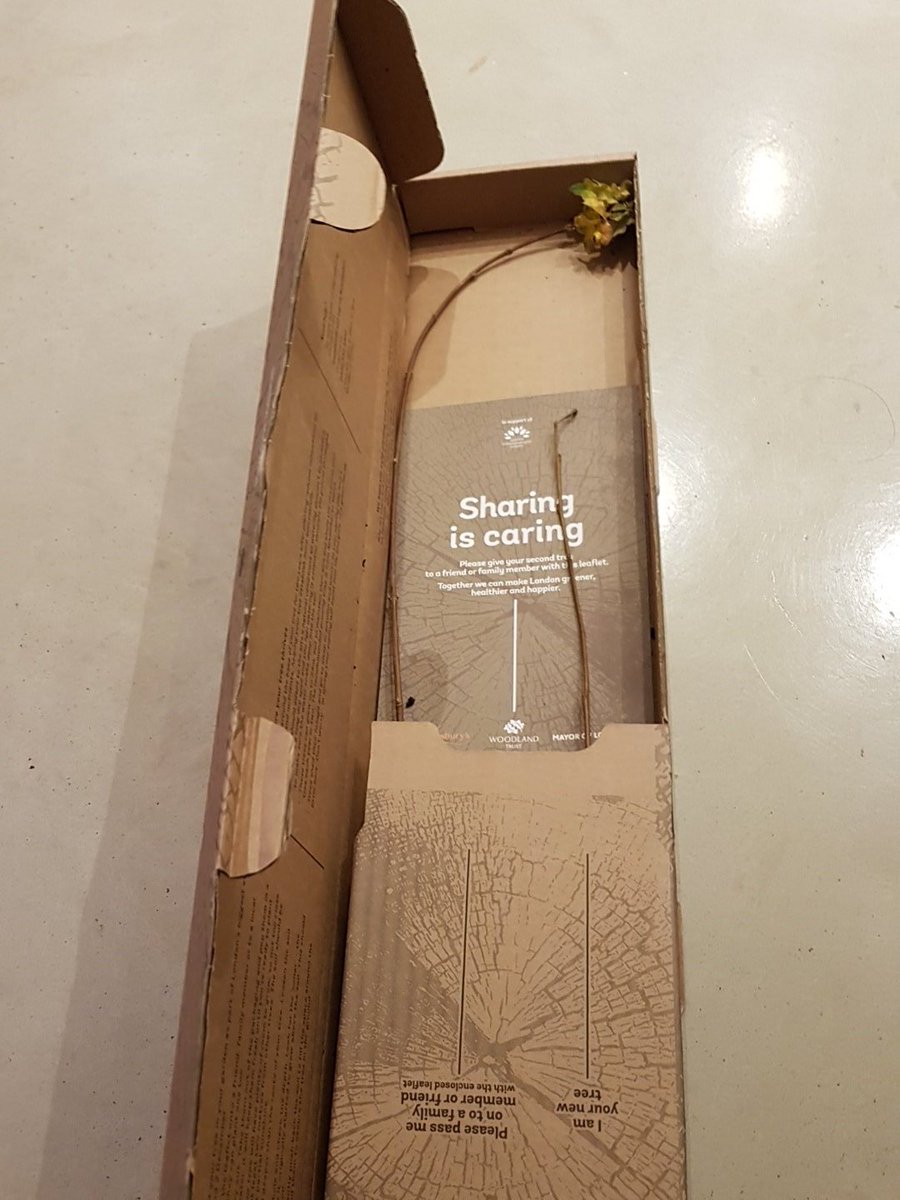mindfulmillhill's tweet photo. Very grateful for these 2 trees which will be planted at the weekend 👍 thanks @WoodlandTrust &amp; @MayorofLondon But what variety of tree are they? 🤷‍♀️ #plantatree #treesforlondon https://t.co/8a67AaDR8h