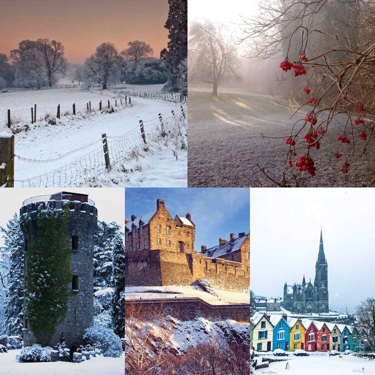 MuldoonsWheaton's tweet photo. Enjoy some gorgeous photos of Ireland during winter!

Why not enjoy them while sipping a warm Irish coffee and eating some delicious comfort food?

We have $.25 boneless wings all day, $5.95 lunch specials til 3pm, and $1.50 Miller Lite drafts all day! https://t.co/9d19wNnXAB