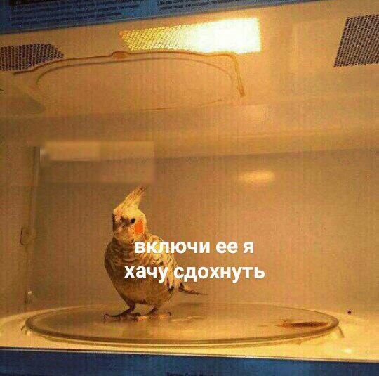 AD_Ozzy's tweet photo. Настроение: https://t.co/bXp2pqlbsJ