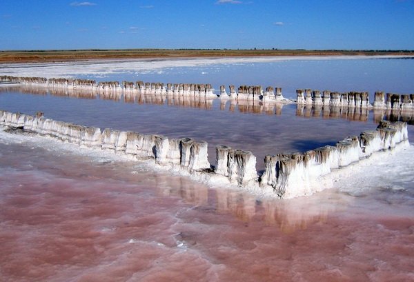 Michael28813919's tweet photo. Lake Elton is the largest salt lake in Russia. Water salinity in summer can reach 400 g / l, which is 1.5 times higher than in the Dead Sea.
#like#follow#followme#foto#winter#time#liketime#russia#vacation#travel#style#me#i #russiantours#vacation#thingstodo#fall#travel https://t.co/KplxYUsu8o