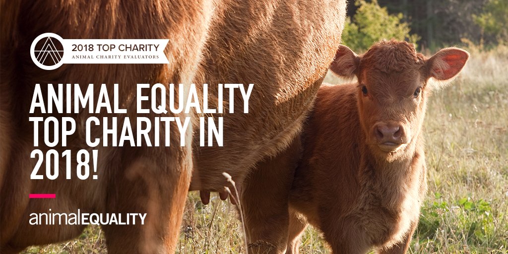 I'm so excited to share that <a href="/AnimalEquality/">Animal Equality</a> has been named a Top Charity by <a href="/AnimalCharityEv/">Animal Charity Evaluators (ACE)</a>! This is the fourth time we've received ACE's Top Charity rating!