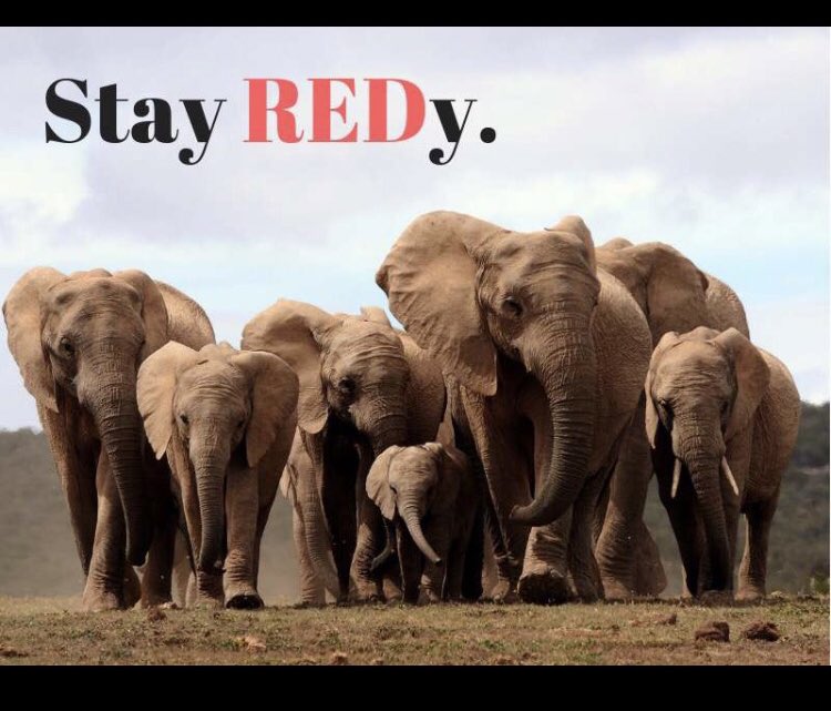 Chi Chapter tweet media