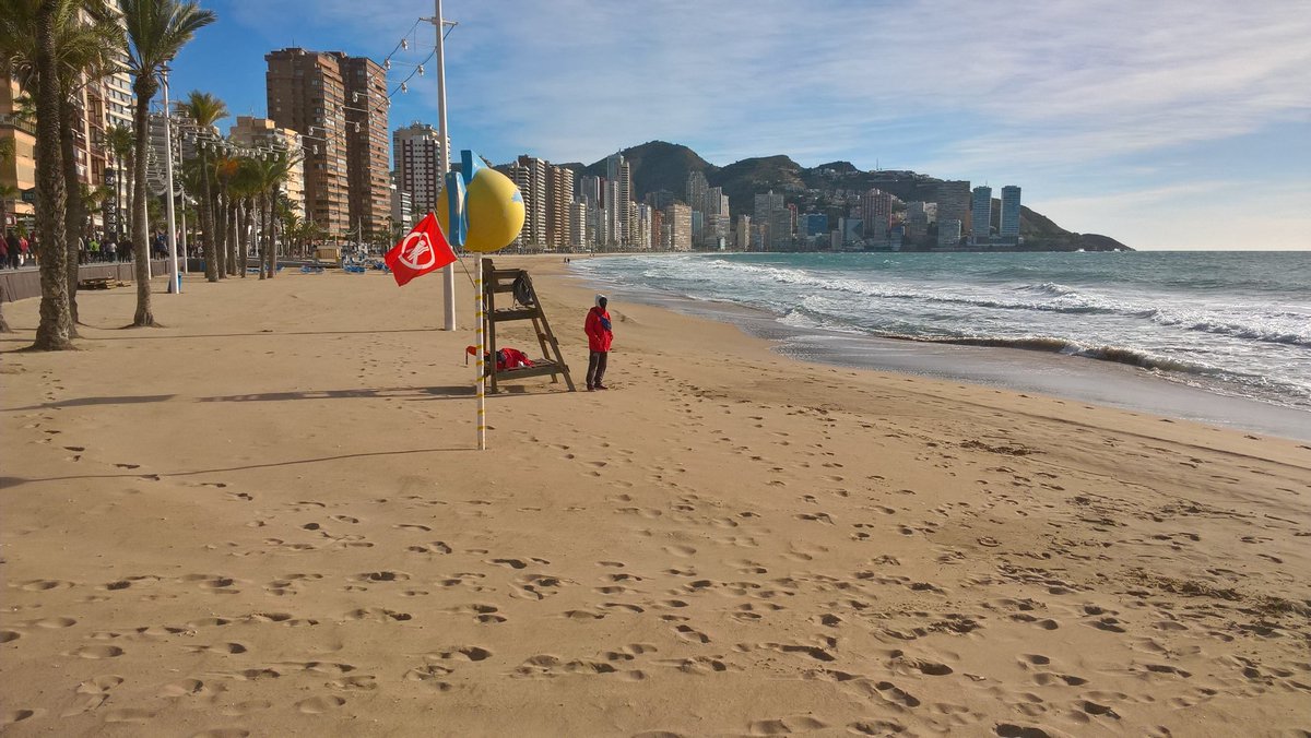 RobMyles1's tweet photo. Baywatch dude is going to be busy ... https://t.co/NyCIDK95oT