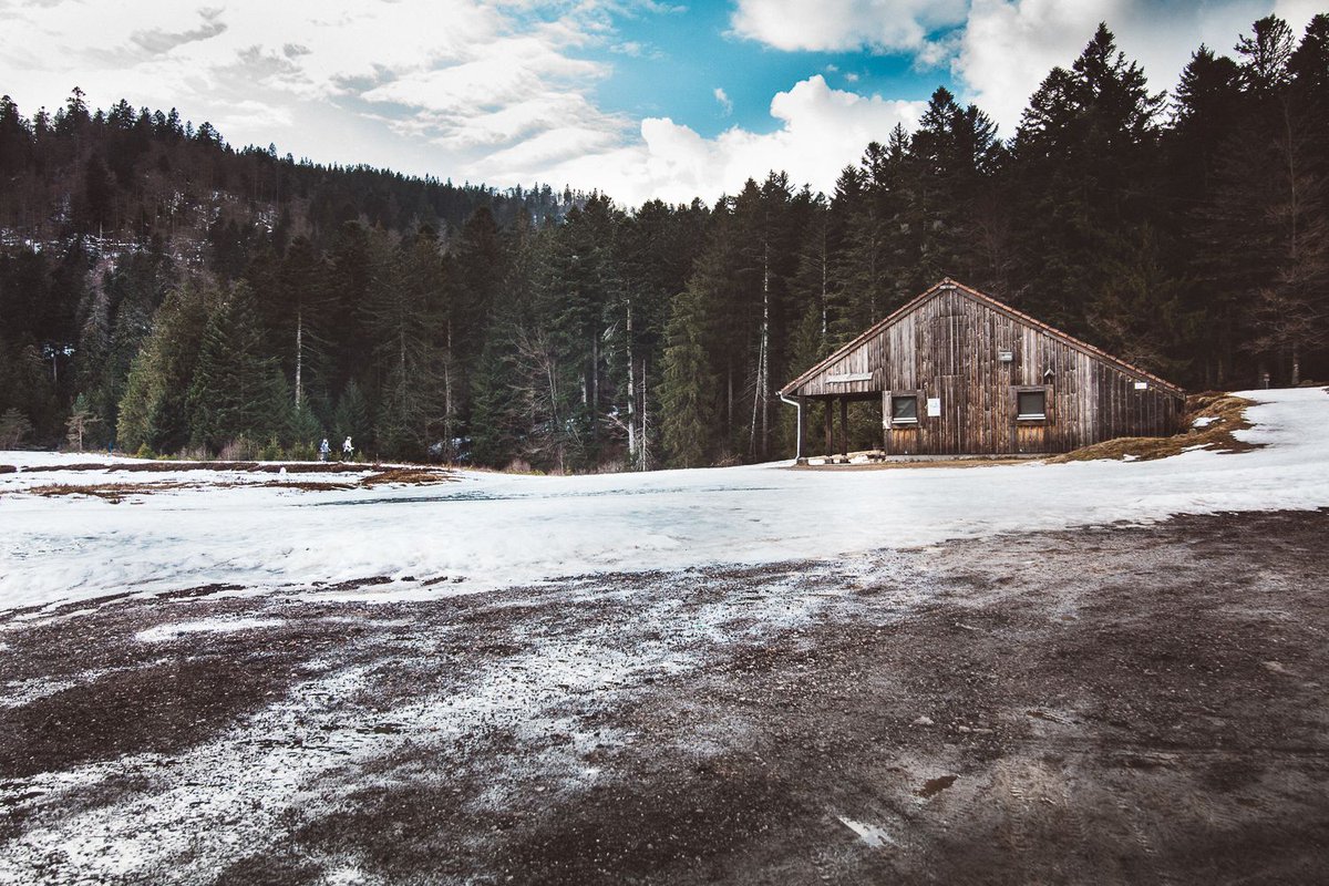 dianedeguerny's tweet photo. les Vosges, le canada français 😏 ❄️ 🌲 

 #forest #ambiance #france #Vosges #landscape #snow #vosges https://t.co/eiQmXHSppB