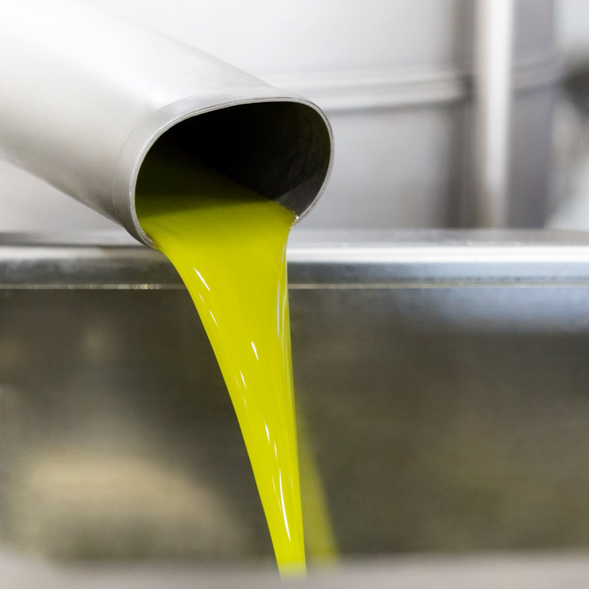 Bellucci_MX's tweet photo. En #bellucci damos la bienvenida a nuestro aceite de primera prensada #aove #aceiteverde #siemprefresco #trusttrougthtraceability https://t.co/8r42ezXfg0