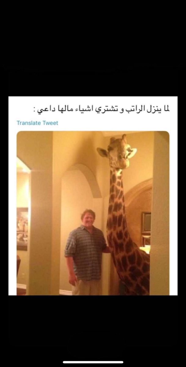 Trook2412's tweet photo. #هات_تغريده_حلوه https://t.co/IPG3BZVJXd