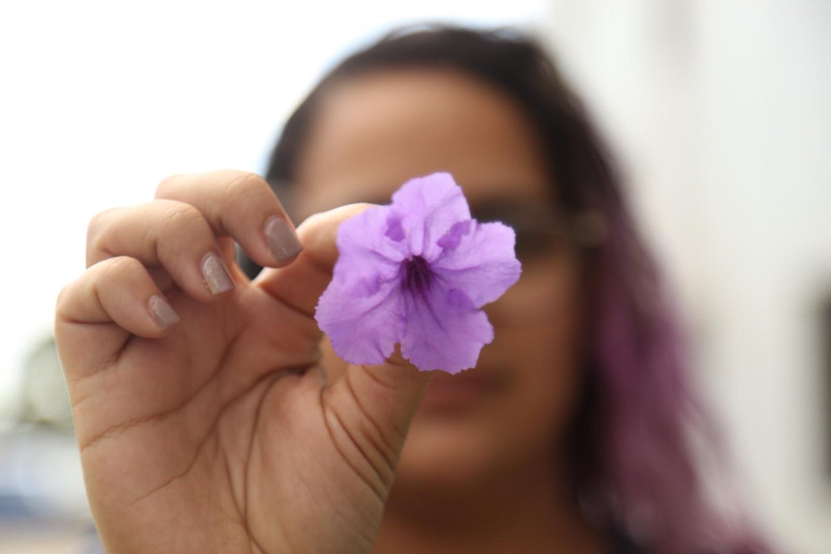 Comunicación UPRH tweet media