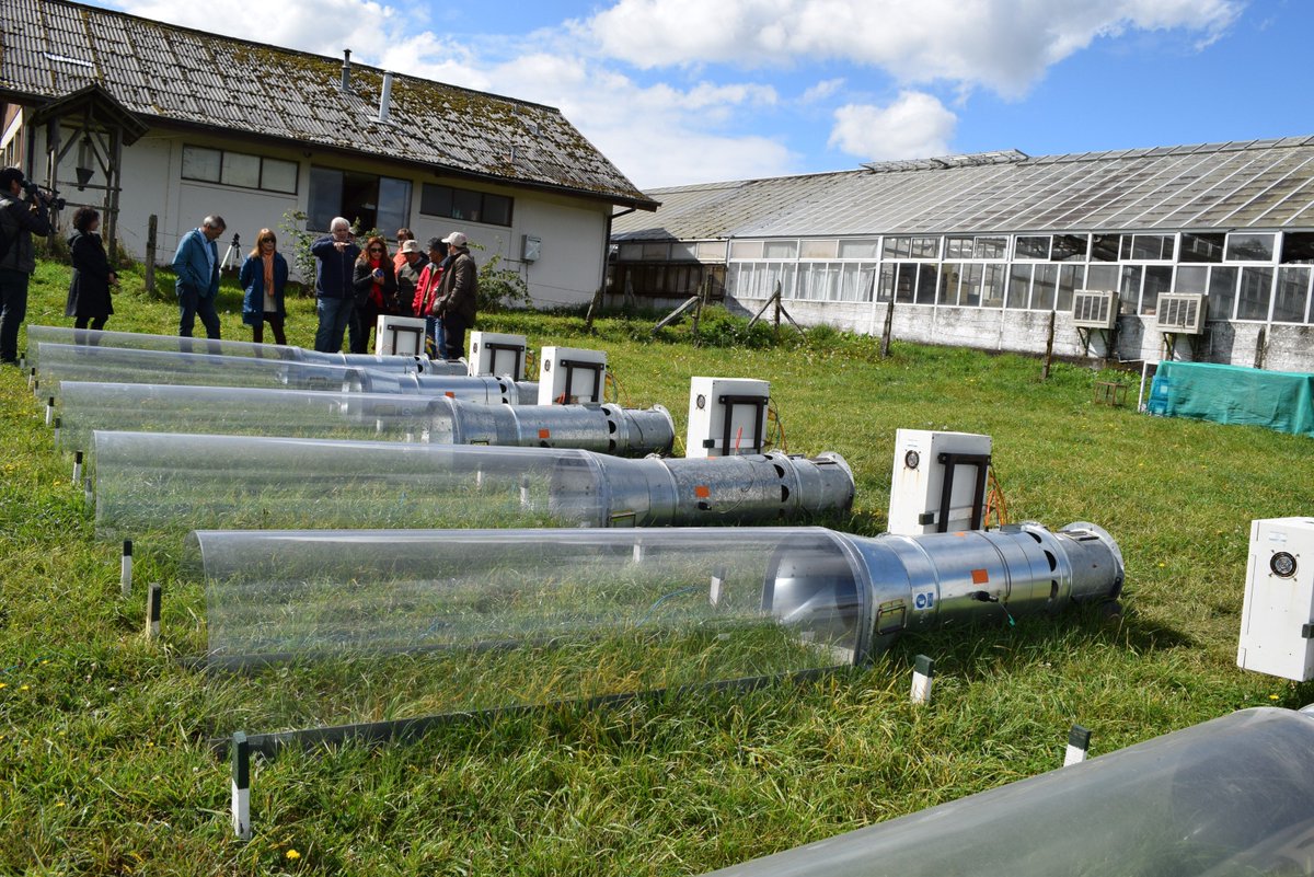 [HOY] A las 14 hs EST, Webinar sobre Forrajes y pasturas para reducir la #emisión de gases #GEI en la #ganadería
Conéctate aquí 👇para conocer que #pasturas pueden ayudar a reducir los gases, en al menos 4 países de ALC.
bluejeans.com/192418667