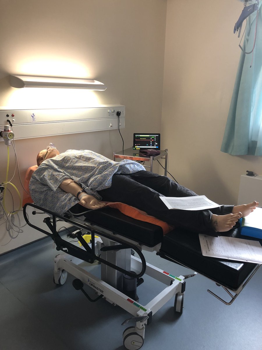 Lynn McCallum tweet media