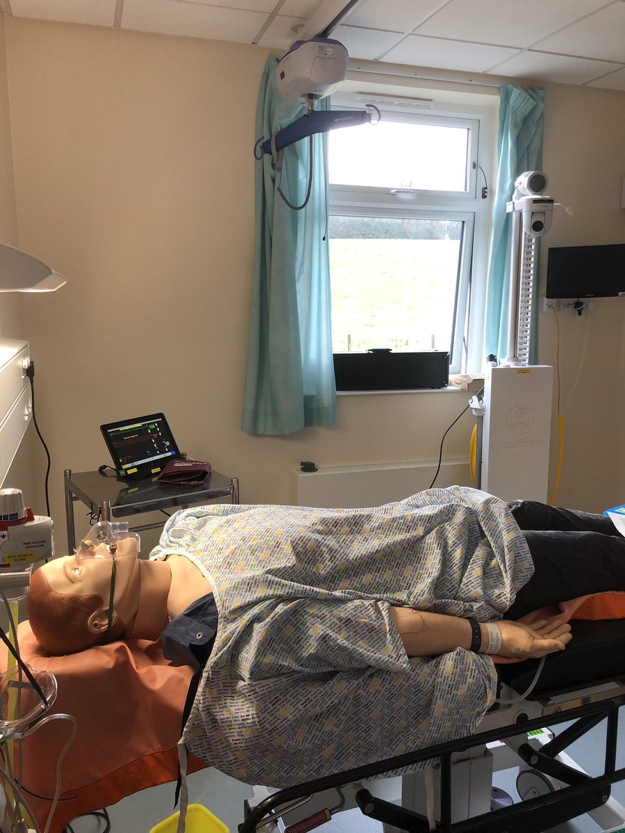 Lynn McCallum tweet media