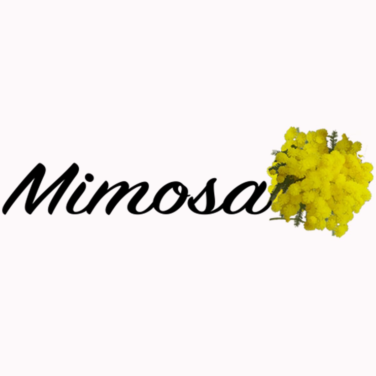 Precisa de ideias para as compras de Natal? 
Porque não visitar  a loja Mimosa em Kingston upon Thames, empresa familiar com serviço autêntico e honesto, e ingredientes de qualidade, adquiridos em Portugal. 
portalusa.co.uk/Directoree/Ite…