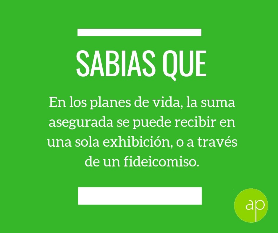 AP_asesores's tweet photo. Acércate con un profesional para que te asesore https://t.co/Td4ekxKSIt