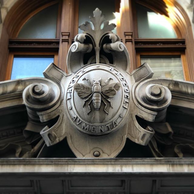 coveyellen's tweet photo. Interesting architectural motifs on building in Trieste, the final Italian town on my cycle tour before crossing over into Slovenia.

#trieste #italy #latergram #insect #bee #architecture #motif #wasp #bee #window #buildings https://t.co/gWALSDGKs0 https://t.co/cGZ3DdYiye