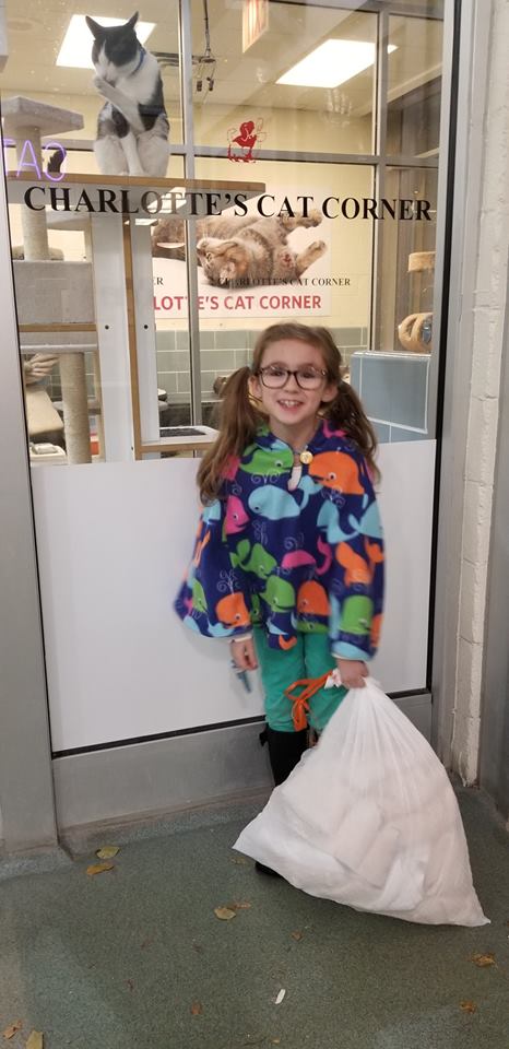 SuiteHomeChi's tweet photo. Thankful for our furry friends too! Our "Junior Operations Manager" :) donated a bunch of our used towels &amp; linens to pups &amp; kitties in need at @AntiCruelty  over the long weekend! #suitehome #suitehomechicago #chicagocorporatehousing #anticrueltysociety #chicagotemporaryhousing https://t.co/yFYuivbvMF