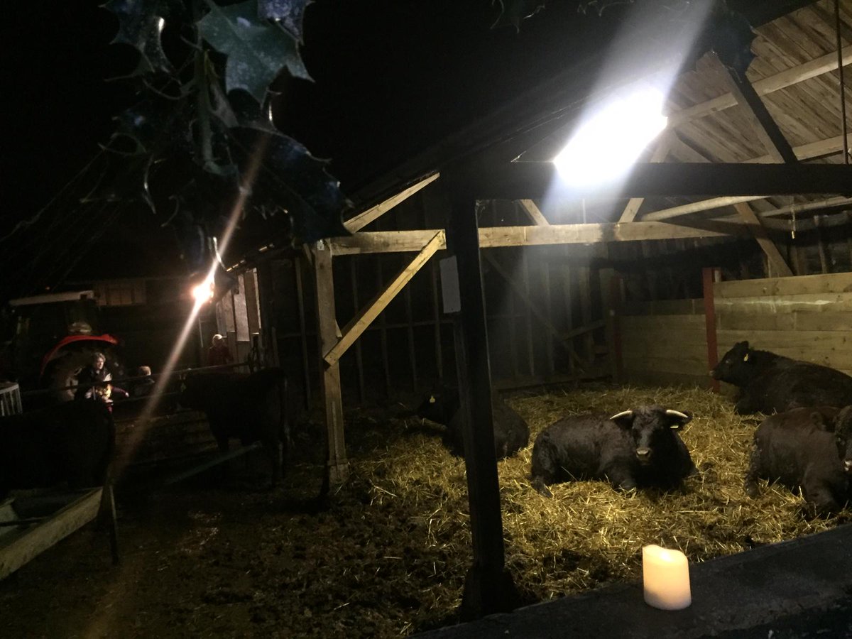 kentcollegehm's tweet photo. An Evening of Christmas Carols on the Farm. A firm favourite! https://t.co/OL3HGpKvDs