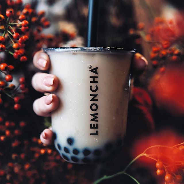 lemoncha_'s tweet photo. A nice tea can warm three winter months. Stay tuned and discover soon our Limited Winter Drinks!
⠀
What would be the perfect Winter Drink? Let us know in comments!
⠀
⠀
⠀
⠀
#lemoncha #teabar #winter #winterdrinks #winteriscoming https://t.co/E2UoKss3qg https://t.co/g1HUGhMNzb