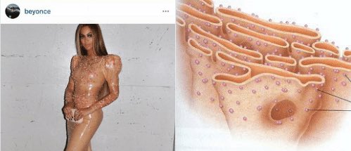 EdReticulum's tweet photo. Yeah I know you all were wondering, I’m pretty close with @Beyonce. She used me as inspo for the Met Gala #friendgoals #youwish #nobigdeal https://t.co/ZgX8r0QlOe