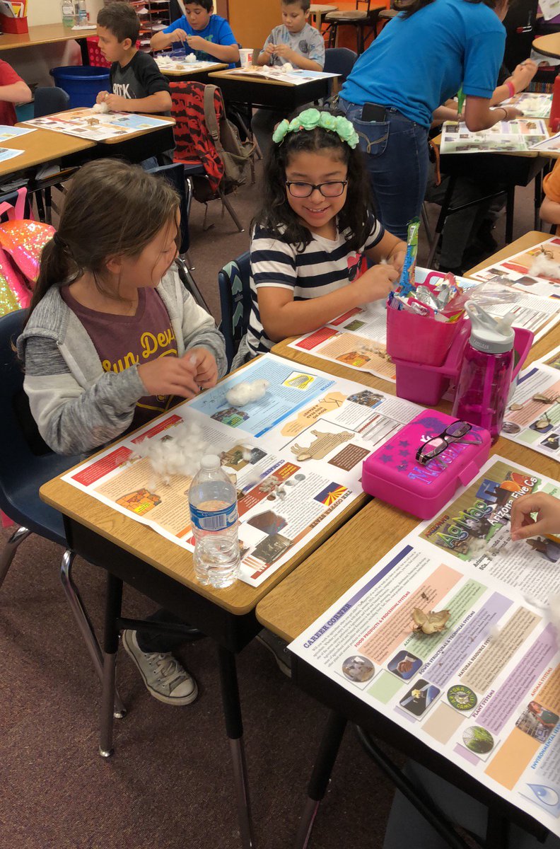 Mrs. Flynn's class was learning how to get seeds out of cotton. Hands on Agriculture in the classroom.