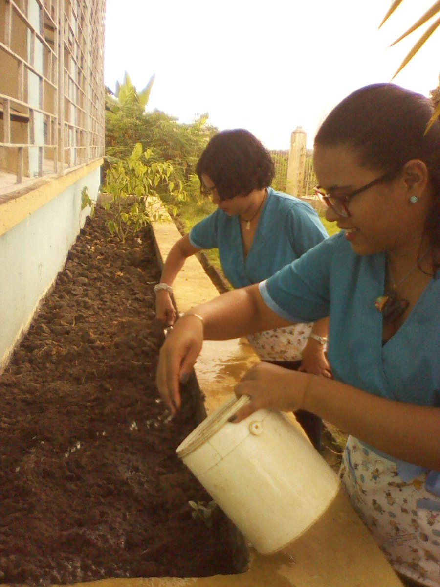 Mariafr0805's tweet photo. Cumpliendo con el programa todos manos a la siembra, las especialistas del aula integrada Barquisimeto en Quiriquire  municipio Punceres sembraron mani. #manitostao #aulaintegradapunceres #PTMS #Nuestromanizal @Especial_ZEMon @especialmppe @MPPEDUCACION https://t.co/AACsoAVDky