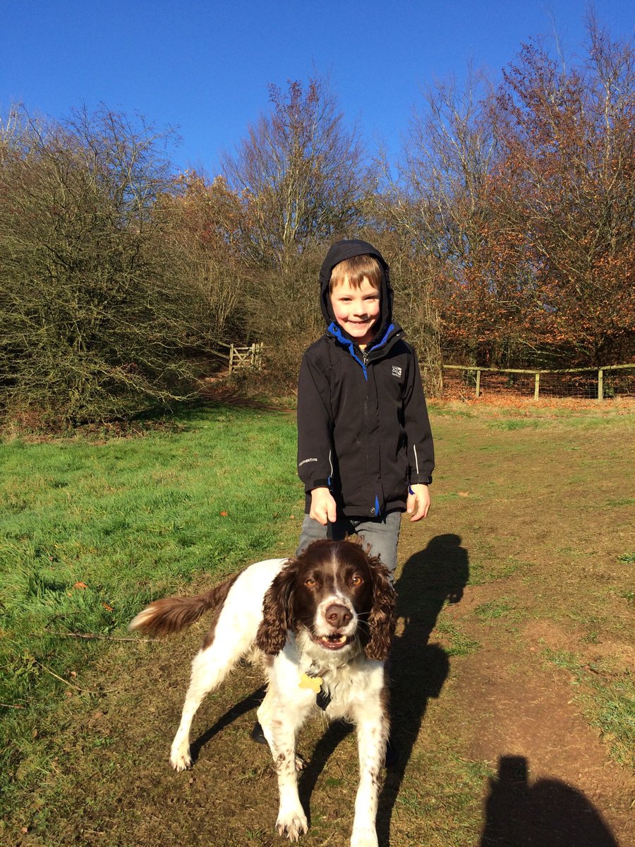 stitchadventure's tweet photo. Love cold sunny days with my buddy! @dogcelebration @yourdog @AnimalsGalore https://t.co/x0RdGdIdjM