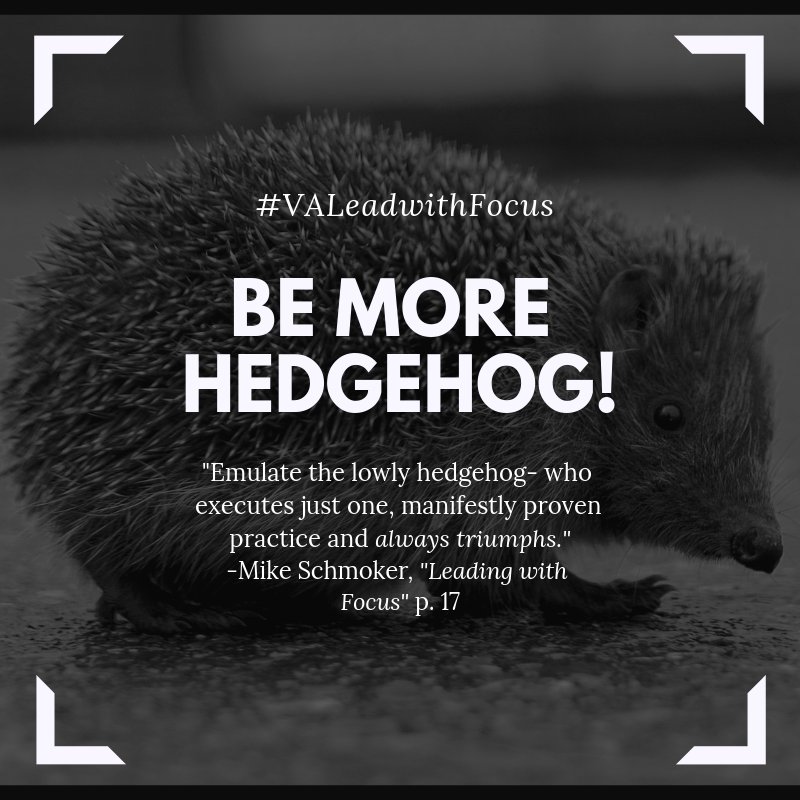 teachkiwi's tweet photo. I know I am guilty of the complex, unfocused machinations of the fox. Time to #bemorehedgehog #VALeadwithFocus https://t.co/taVy0GJlto