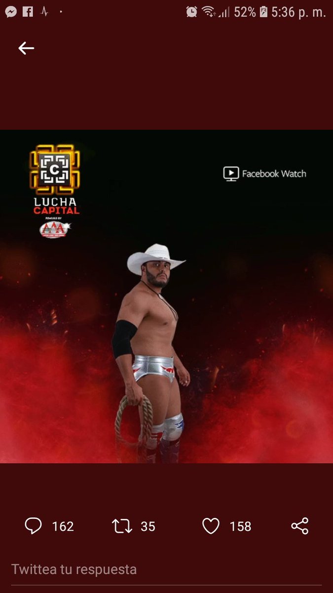 pumabik's tweet photo. @luchalibreaaa @ElTexanoJr https://t.co/OGhUMEnouG