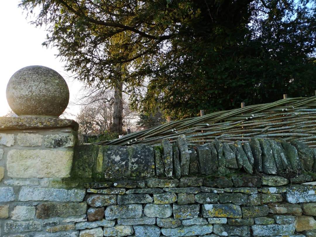 A few from last week...
°
°
#willow #wovenfencing #oxford #cambridge #suffolk #norfolk #garden #design #frontofhouse #wonderwood
#wonderwoodwillow